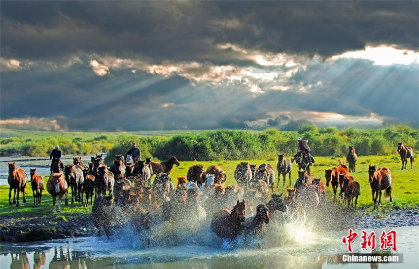 Himmlische Pferde in traumhafter Landschaft