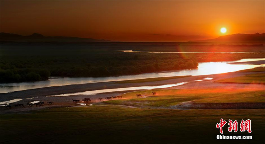 Himmlische Pferde in traumhafter Landschaft