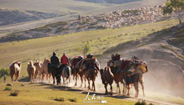 Seit anfangs Juni sind die Kasachen im Regierungsbezirk Altai im Nordwesten der Volksrepublik mit ihren über eine Million Tieren unterwegs in ihr Sommer-Weidegebiet. Die allj?hrliche gro?e Wanderung dieser chinesischen Minderheit hat somit begonnen.