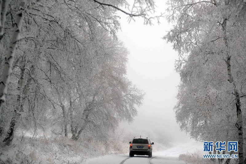 Sch?ner Raureif in der Inneren Mongolei