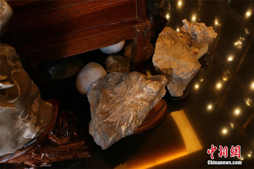 Geheimnisvoller ?Chrysanthemen-Stein“