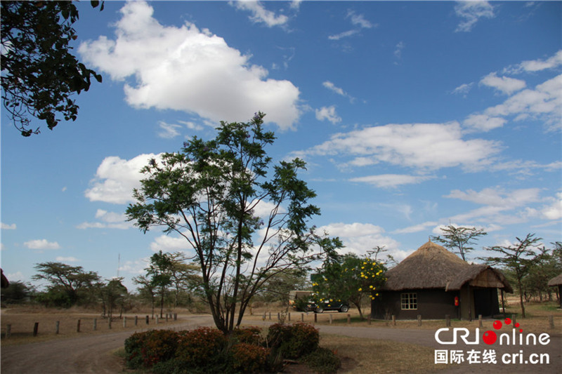 Chinesische Freiwillige im kenianischen Busch