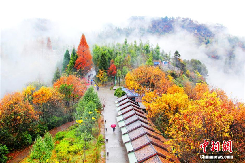 Weltkulturerbe im Nebel