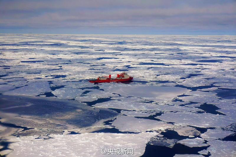 Pinguine hei?en ?Schnee-Drachen“ willkommen