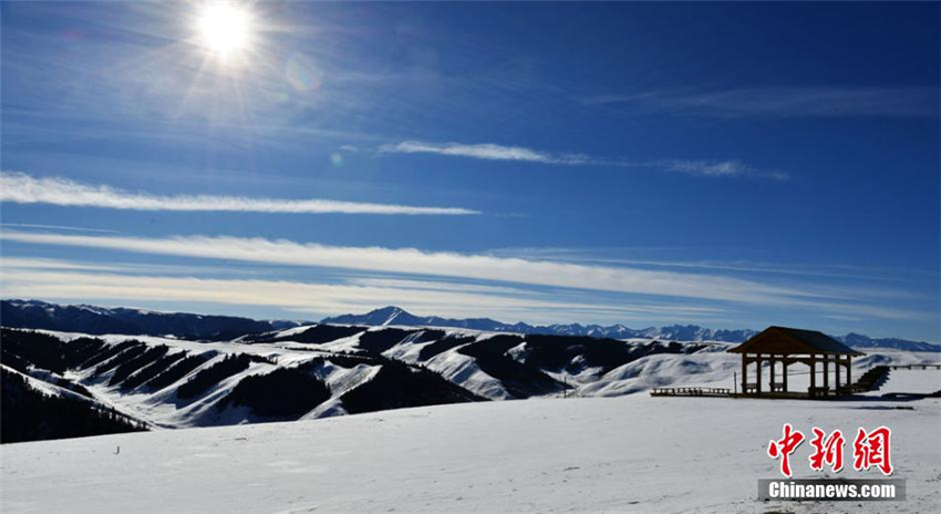 Wei?es Grasland in Gansu