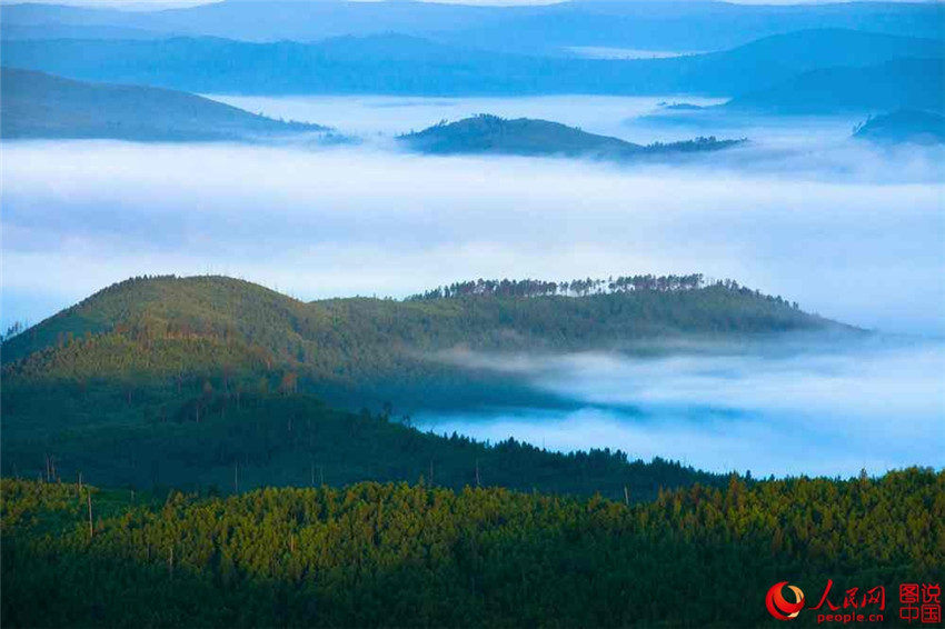 Daxinganling – Chinas grüne Schatzkammer
