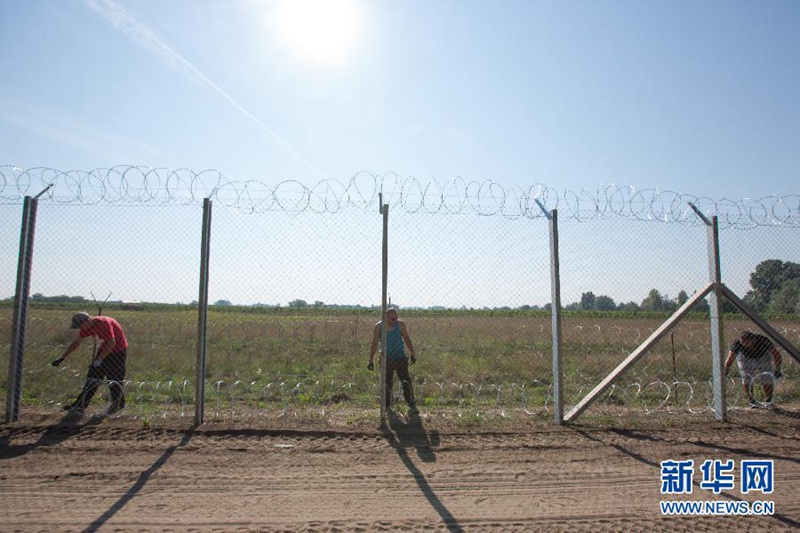 Ungarn baut Grenzzaun gegen Flüchtlinge