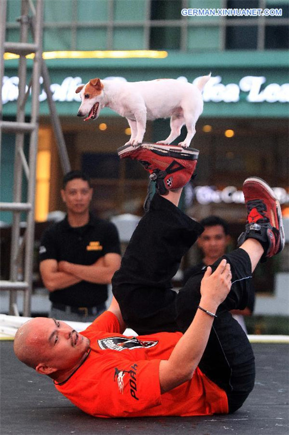 Welttierschutztag in Philippinen gefeiert