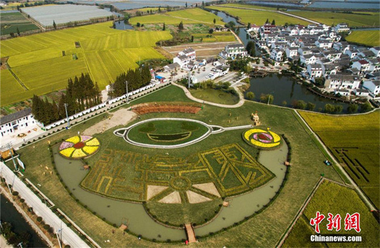 Luftaufnahme der Herbsternte am Stadtrand von Nanjing