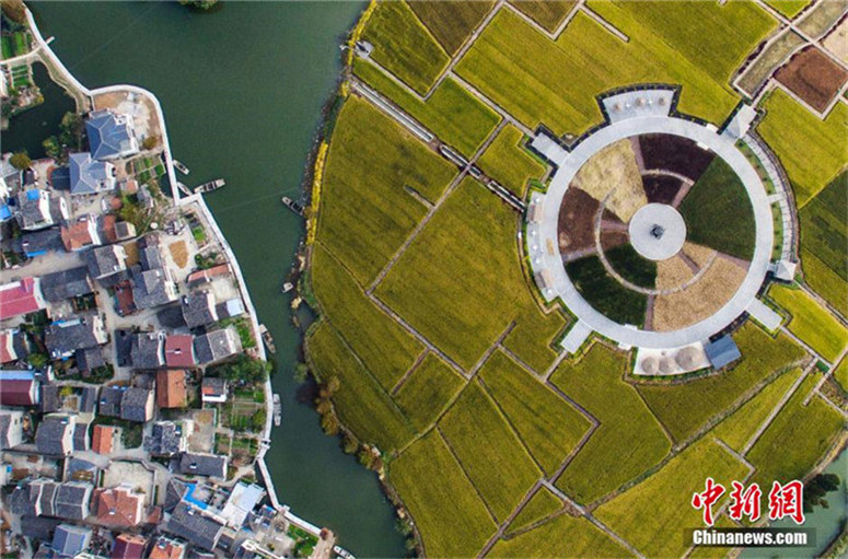 Luftaufnahme der Herbsternte am Stadtrand von Nanjing
