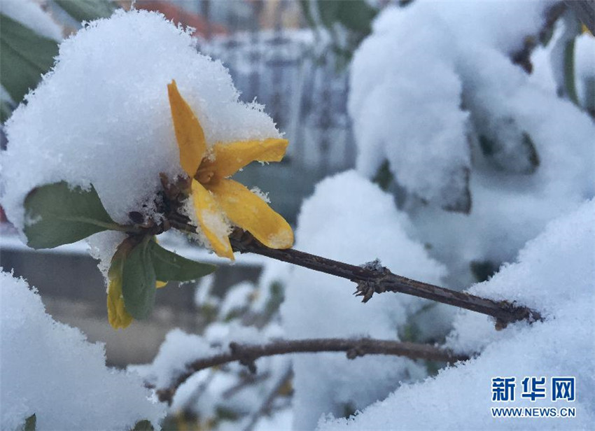 Erster Schnee 2015 in Beijing