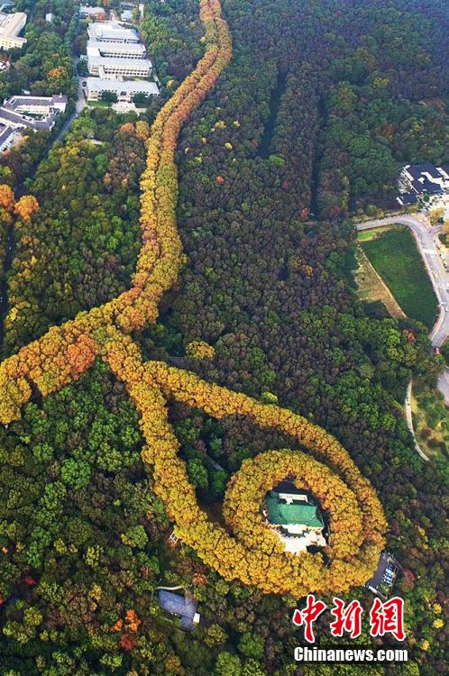 Die ?goldene Halskette“ von Nanjing