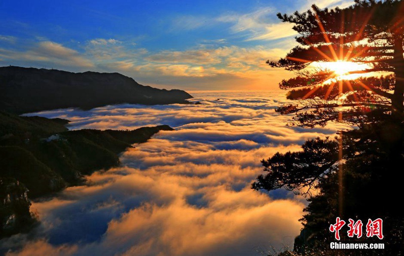 Wolkenmeer auf dem Lushan