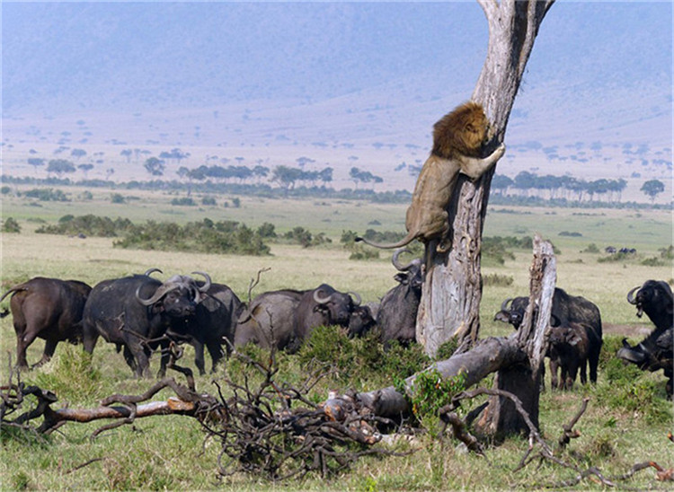Die merkwürdigsten und überraschendsten Medienfotos 2015