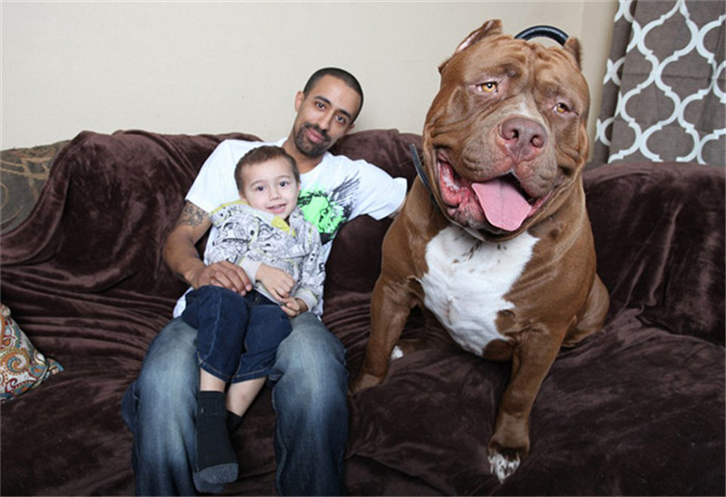 Die merkwürdigsten und überraschendsten Medienfotos 2015