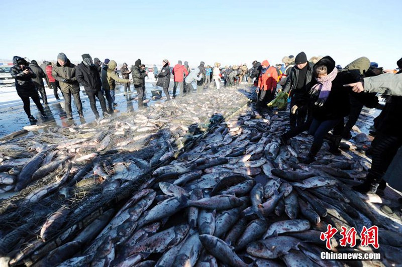 Eisfisch-Festival in Jilin