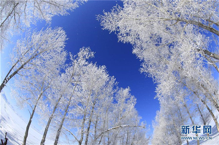 Frostiges Naturschauspiel in Xinjiang