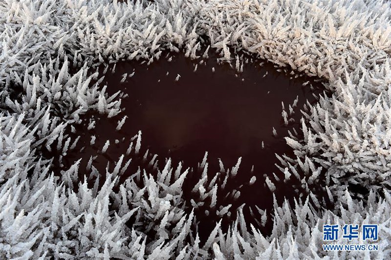 Mirabilit-Kristalle auf dem chinesischen ?Toten Meer“