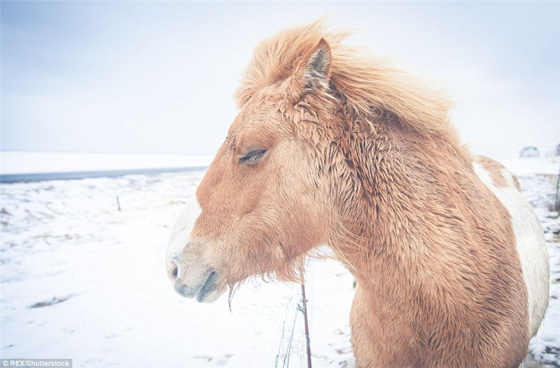 Deutscher Fotograf nimmt wundersch?ne Szenen in Island auf