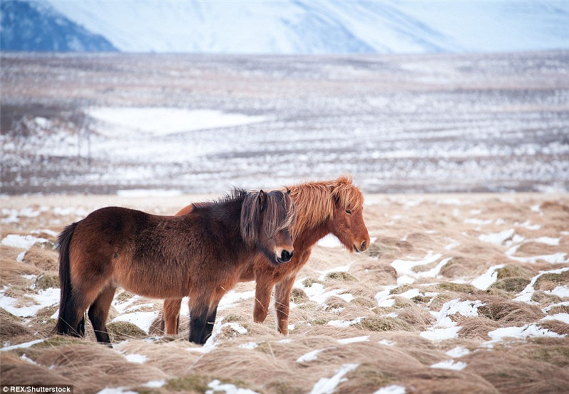 Deutscher Fotograf nimmt wundersch?ne Szenen in Island auf