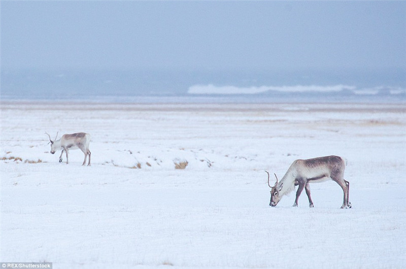 Deutscher Fotograf nimmt wundersch?ne Szenen in Island auf