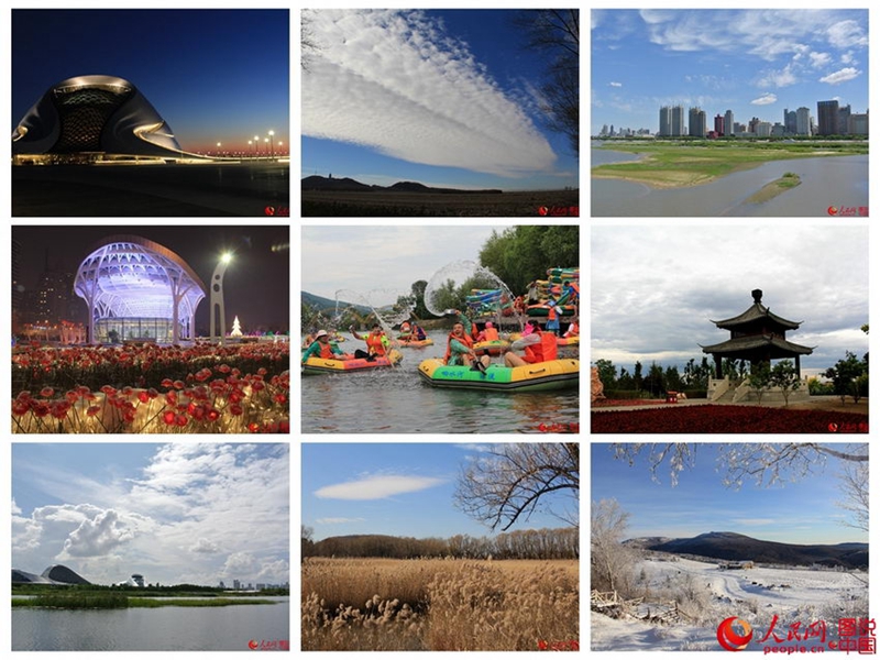 Mein 2015 in neun Bildern