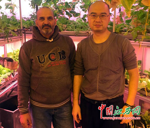 China baut erfolgreich Gemüse in Antarktis an