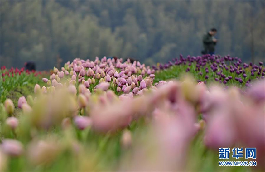 Der Frühling ist wieder da