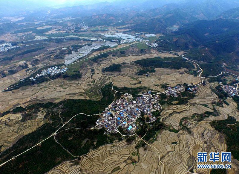 Wassermelonen-Terrassenfelder aus der Vogelperspektive