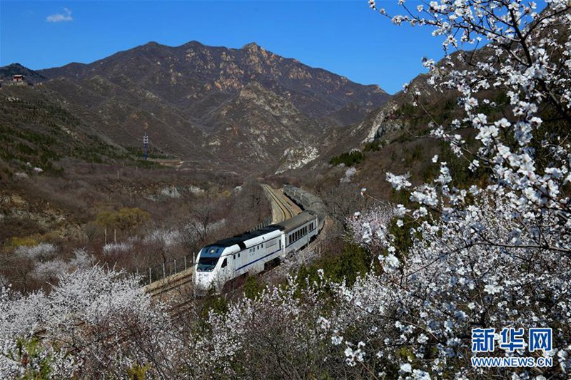 Der Frühling h?lt Einzug in Beijing 
