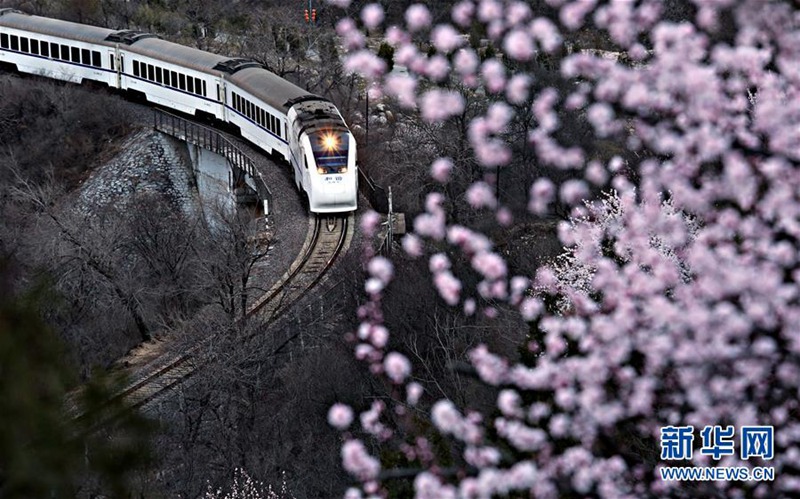 Der Frühling h?lt Einzug in Beijing 