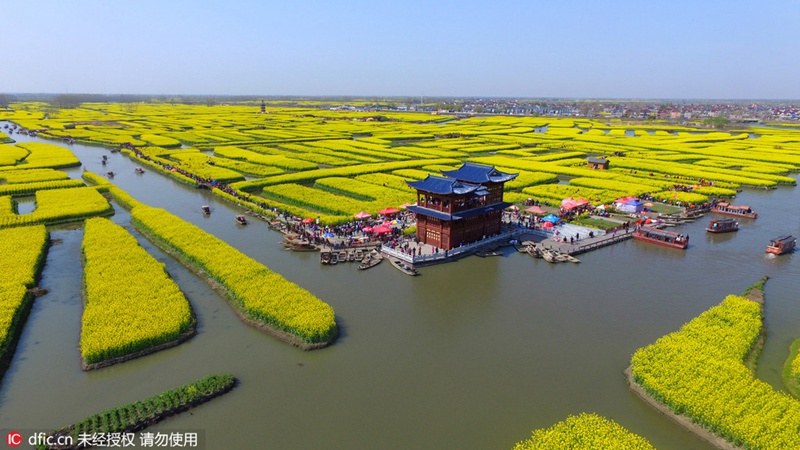 Rapsblütenmeer in Xinghua