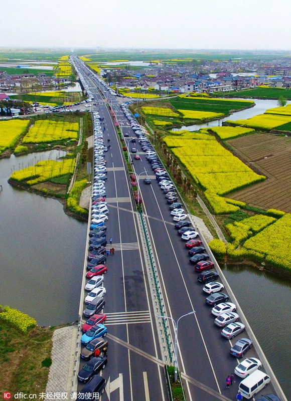Rapsblütenmeer in Xinghua