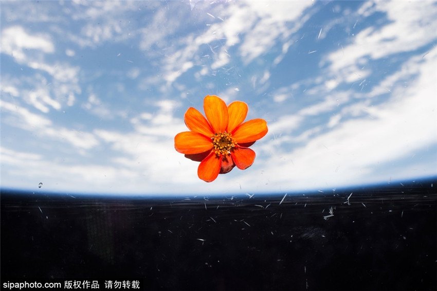 Wundersch?ne Bilder aus dem All