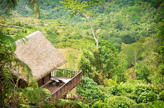 Gemütliche Baumh?user weltweit