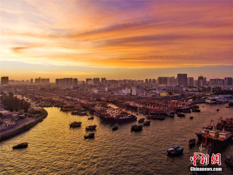 Fische brauchen auch mal Urlaub – Tausende Schiffe ruhen zum Sommer-Fangverbot