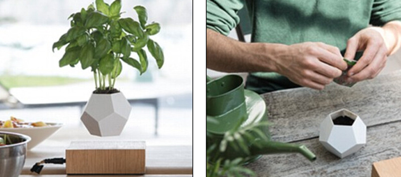 Unidentifiziertes Topf-Objekt – Schwebende Pflanzen aus Schweden