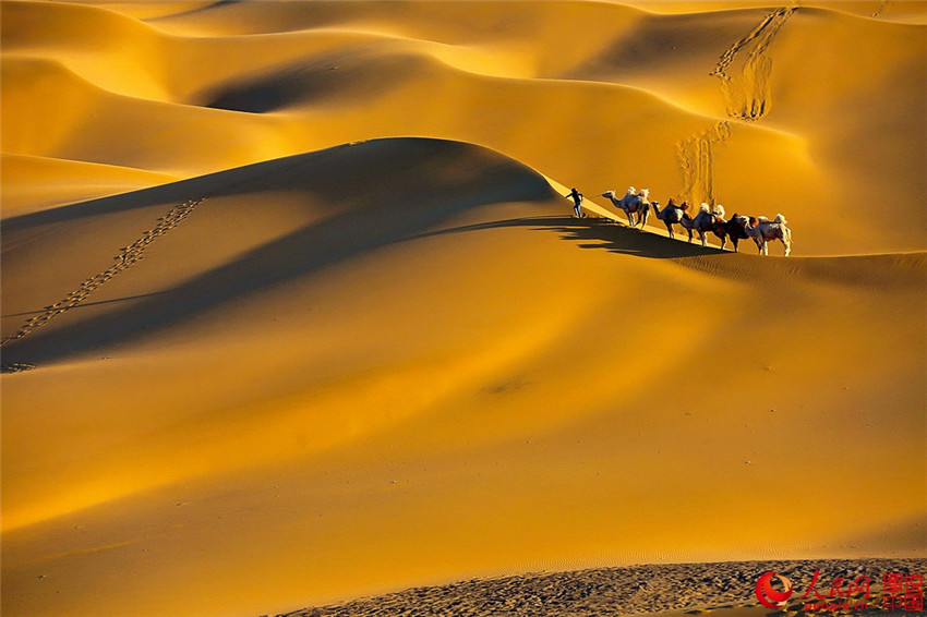 Kumtang – Die Wüste in der Stadt