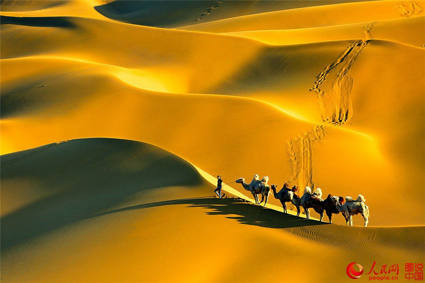 Kumtang – Die Wüste in der Stadt