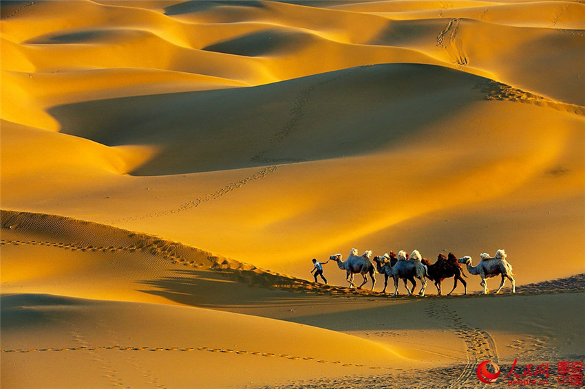 Kumtang – Die Wüste in der Stadt