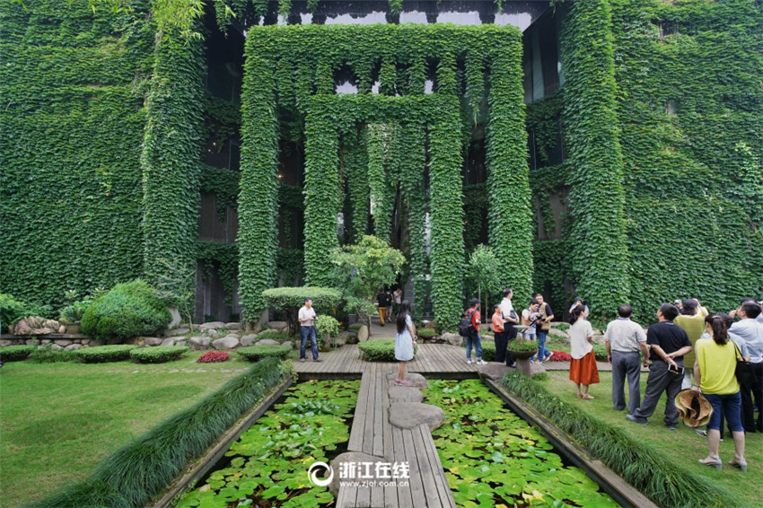 Wie aus dem M?rchen – Grün umranktes Haus in Wenzhou