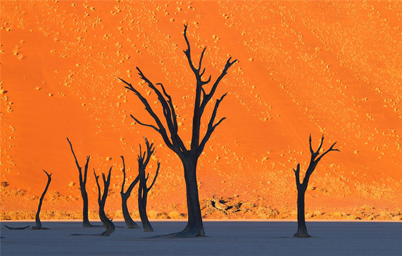 Inventur weltweiter Naturph?nomene