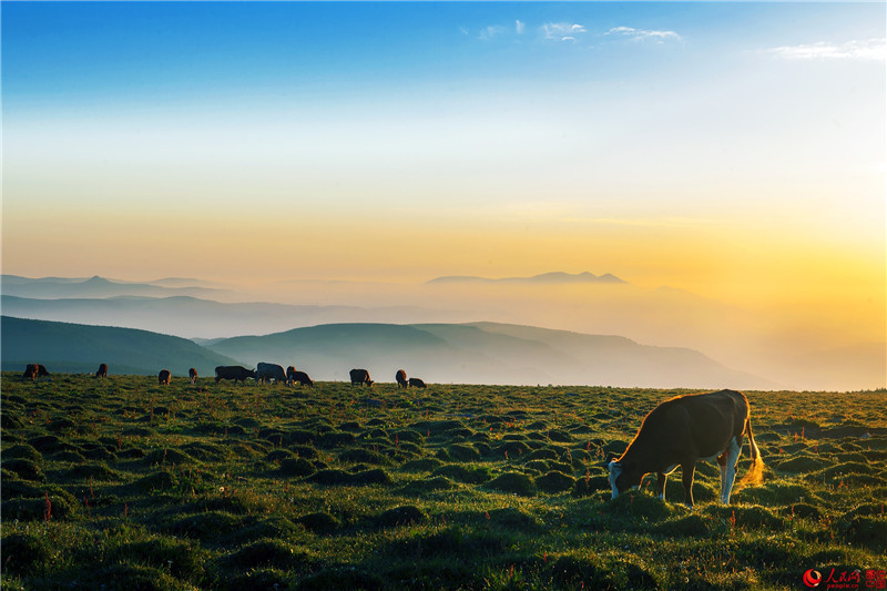 Luya-Berge in Shanxi: Natürliche Sauerstoff-Bar