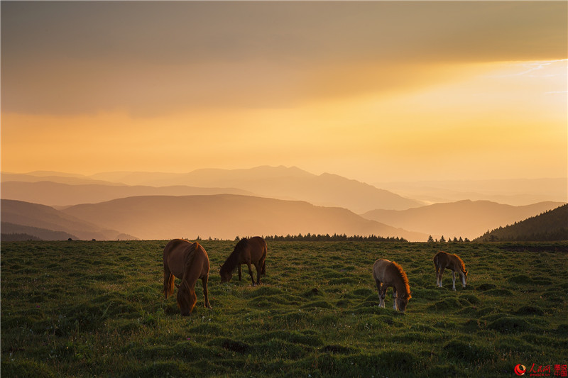 Luya-Berge in Shanxi: Natürliche Sauerstoff-Bar