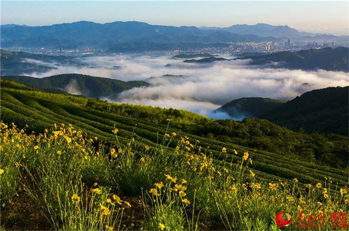 Neue Energie, neue Sehenswürdigkeit