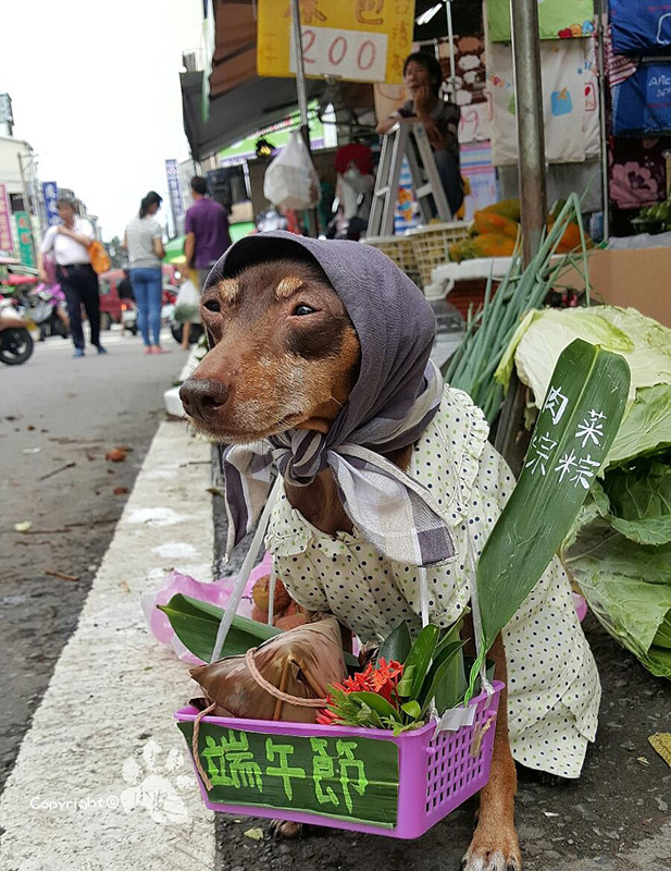 Ein bunter Hund und freche Früchtchen