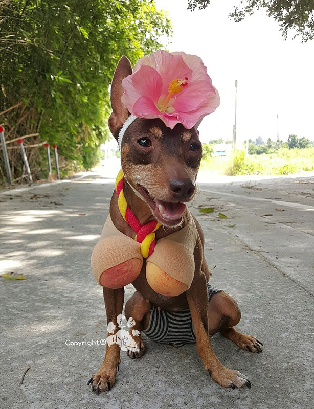 Ein bunter Hund und freche Früchtchen
