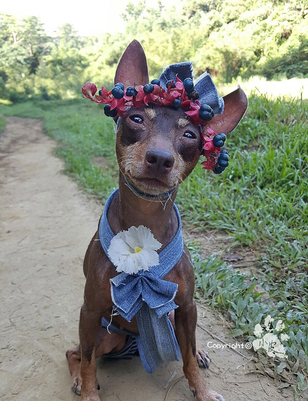 Ein bunter Hund und freche Früchtchen
