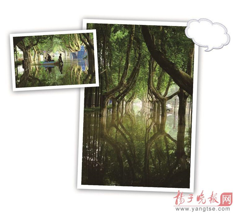 ?Fabelhaftes Dahingleiten“ nach starken Regenf?llen an der Universit?t in Nanjing