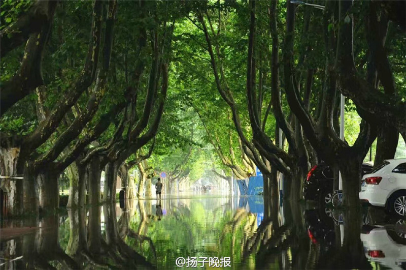 ?Fabelhaftes Dahingleiten“ nach starken Regenf?llen an der Universit?t in Nanjing